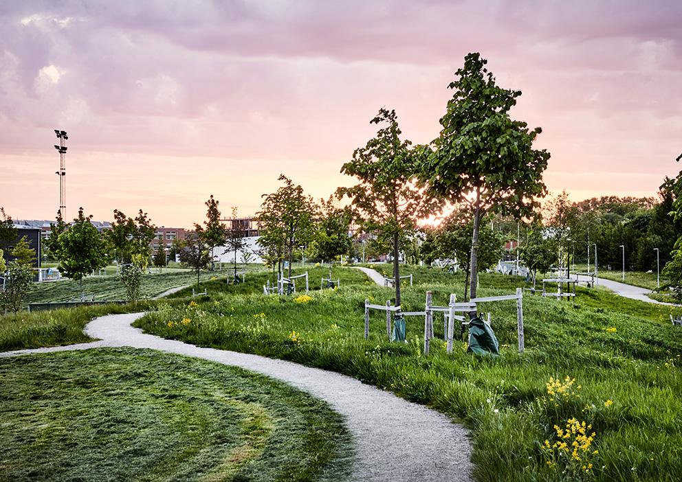 Paradiset i Linköping, vinnare av Landskapsarkitekturpriset 2020. Arkitekt: 02landskap. Foto: Måns Berg