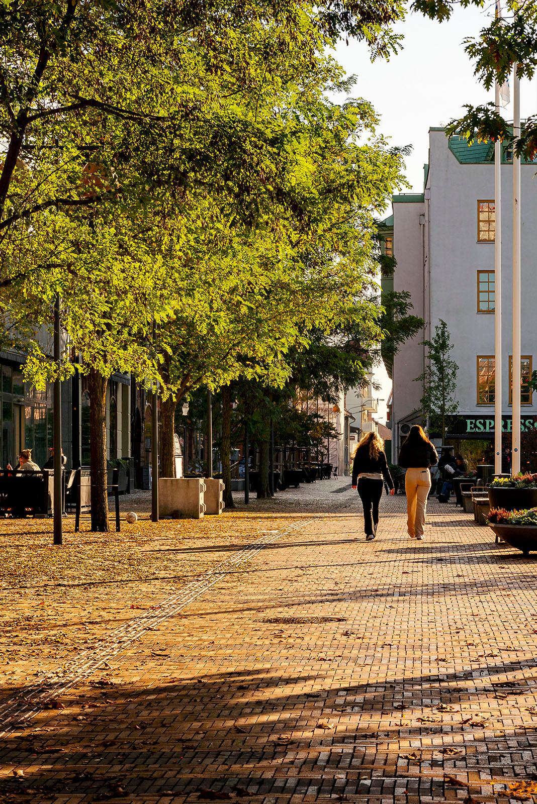 Stora torg i Eslöv. Foto: Werner Nystrand.