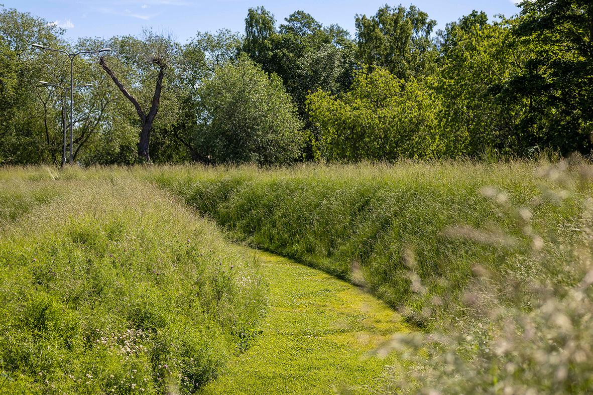 Minnesvård flodvågskatastrofen, Nivå landskapsarkitektur.