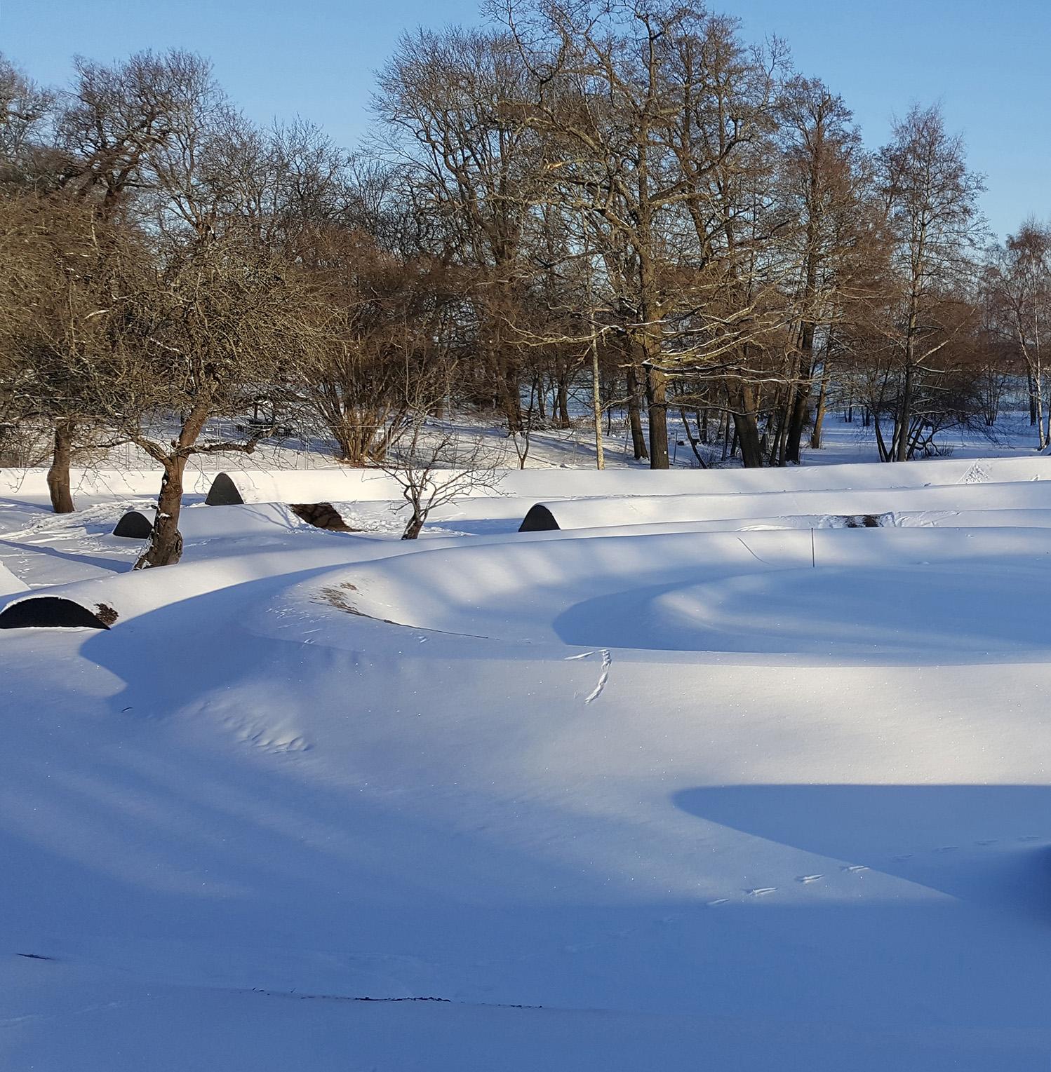 Minnesvård flodvågskatastrofen, Nivå landskapsarkitektur.