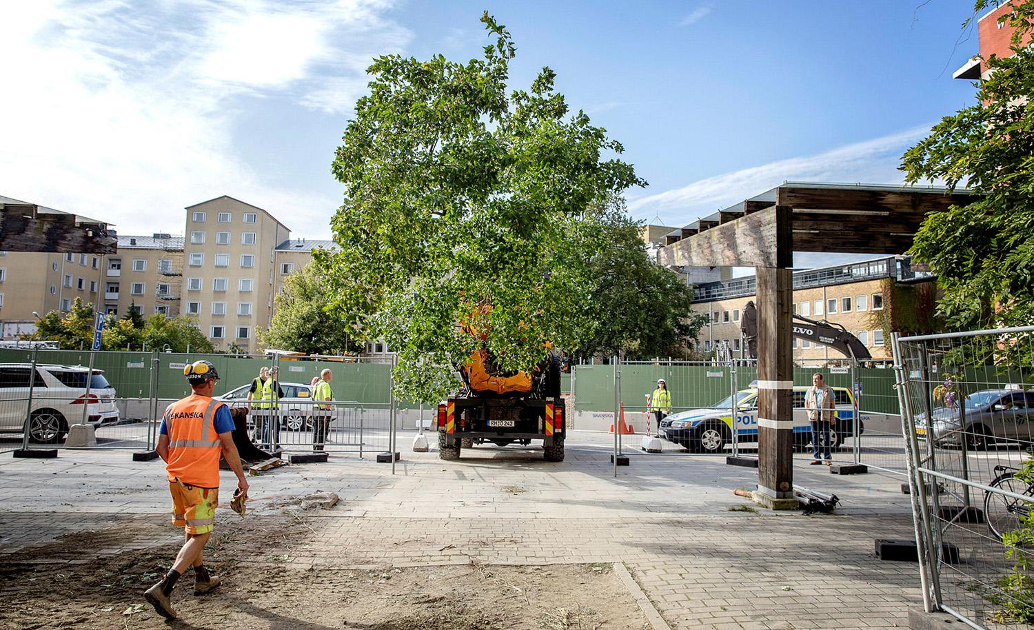 Helhetsplan utemiljö Malmö sjukhusområde, White arkitekter/Tyréns.