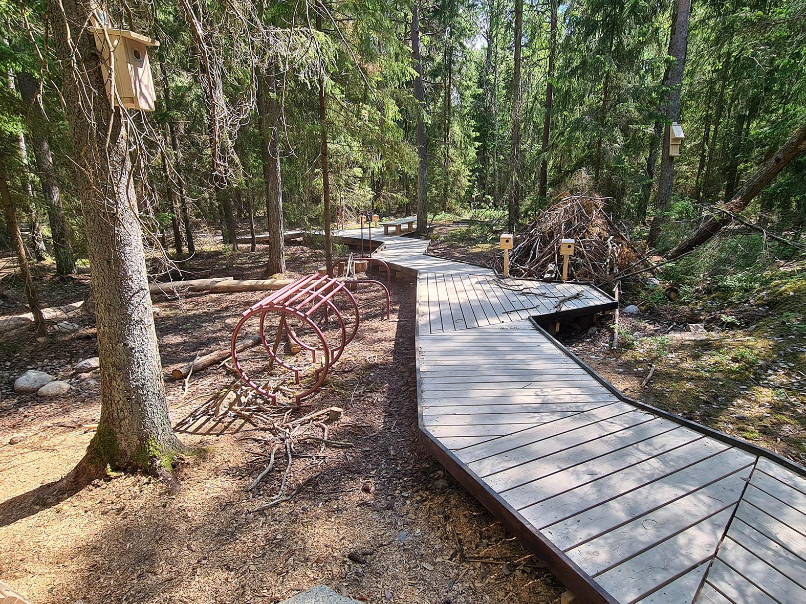 Utflyktslek i Görvälns naturreservat, Urbio. Foto: Mattias Gustafsson.