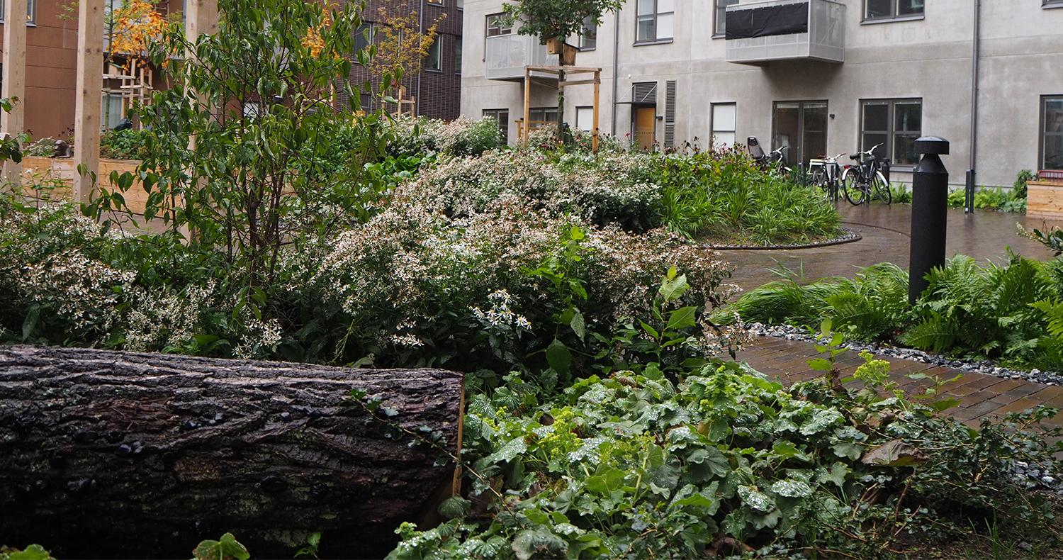 Koppången 4, Topia Landskapsarkitekter. Foto: Tegelmäster.